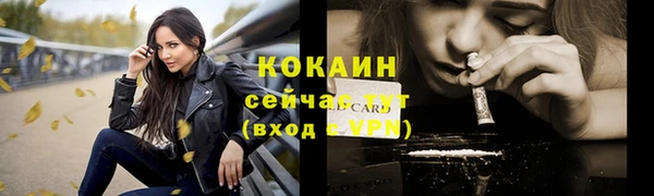 винт Армянск