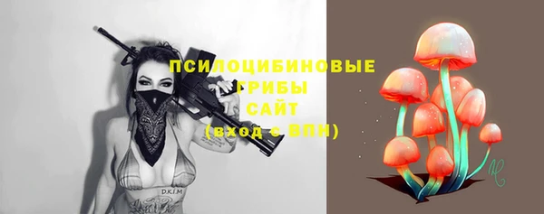 винт Армянск