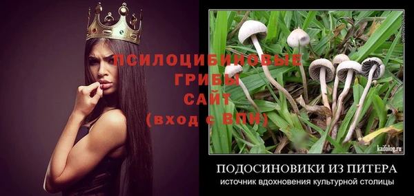 винт Армянск
